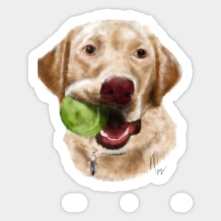 Yellow Lab With a Green Ball Sticker